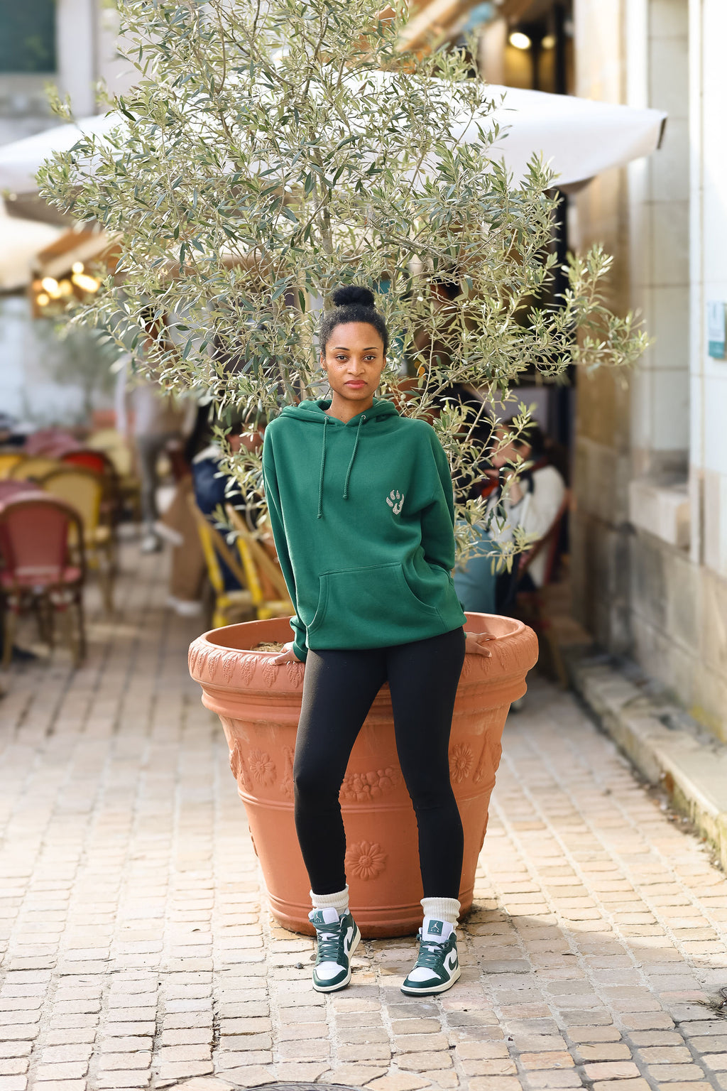 Sweat à capuche Malabar – Petite patte Swarovski