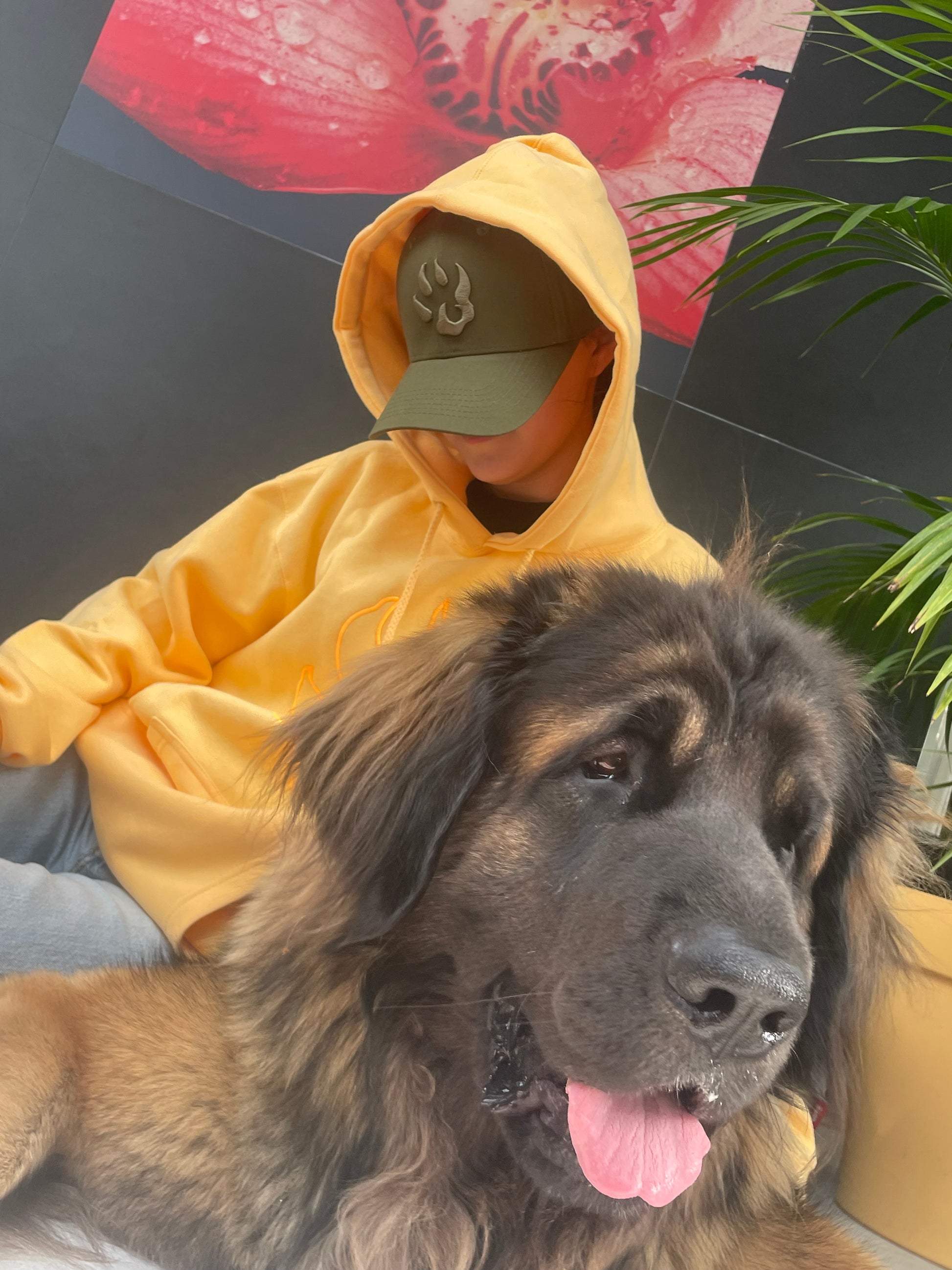 mannequin  portant un sweat couleur pêche assise à coté d'un chien avec un gros plan vue de face sur le chien,