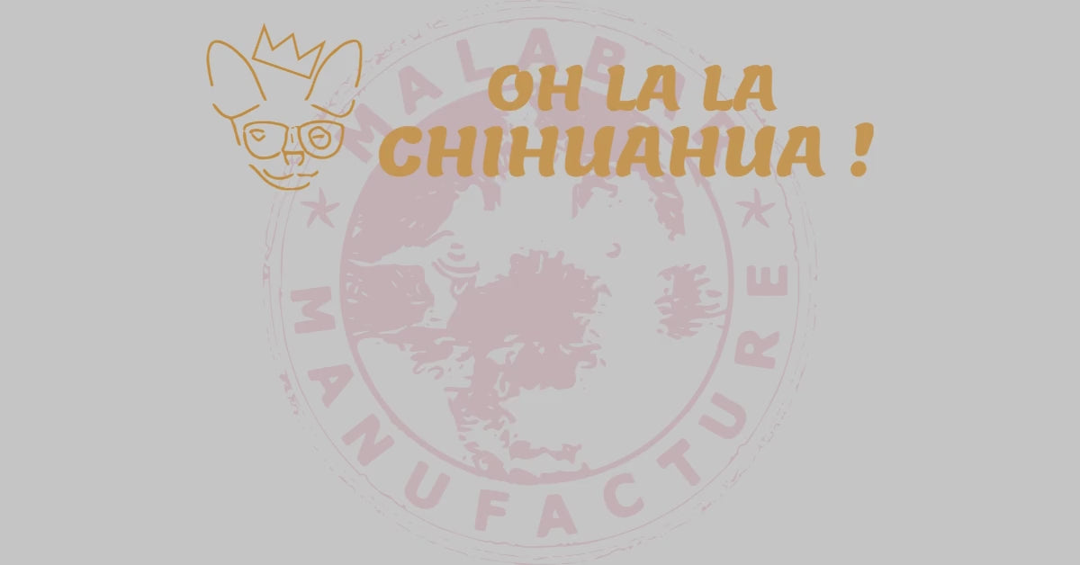 Bannière vidéo-2 Ohlala